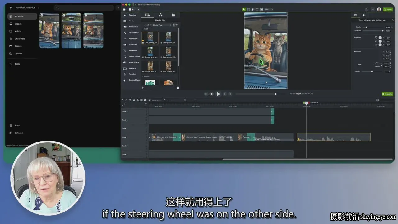 用Google Flow创建《虎斑猫》AI角色视频系列教程-叠加精翻中英字幕