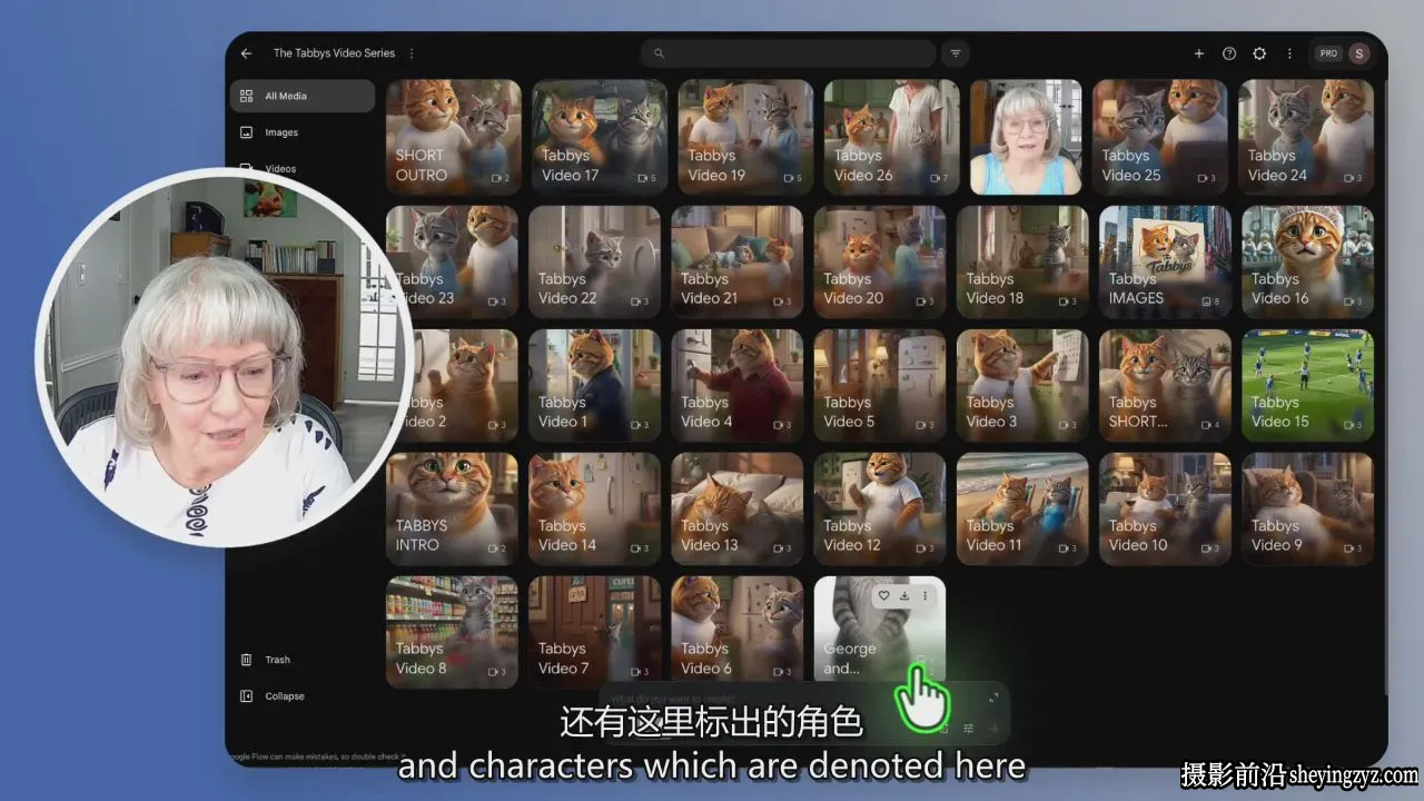用Google Flow创建《虎斑猫》AI角色视频系列教程-叠加精翻中英字幕