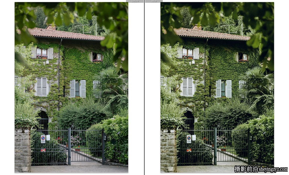 旅行摄影橄榄绿森系人像免费Lightroom预设 Olive Lightroom Presets