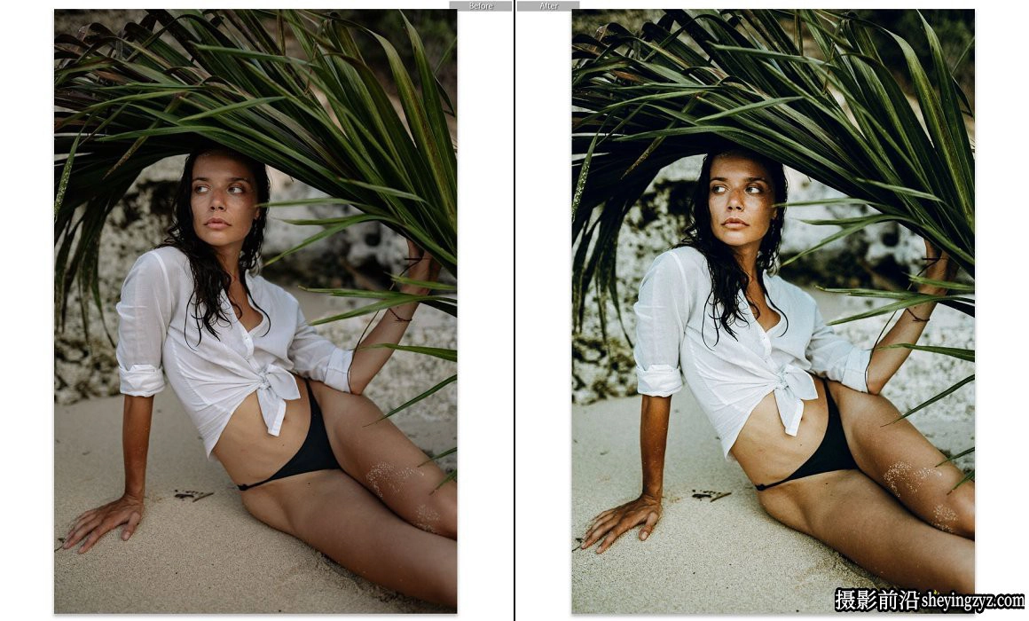 旅行摄影橄榄绿森系人像免费Lightroom预设 Olive Lightroom Presets