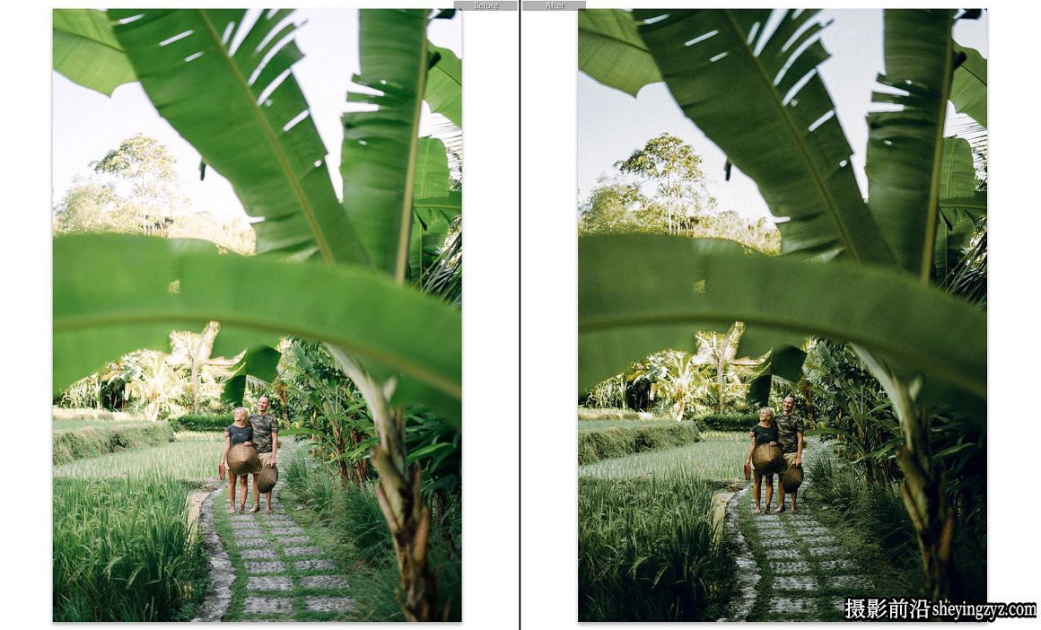 旅行摄影橄榄绿森系人像免费Lightroom预设 Olive Lightroom Presets