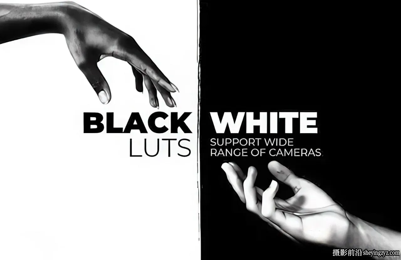 20种经典复古黑白电影胶片LUT调色预设Black and White LUTs