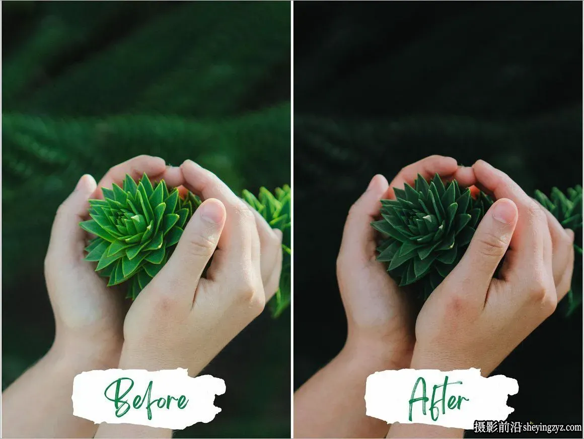 15种冒险旅拍森系情绪电影人像风光Lightroom预设Woods Lightroom Presets