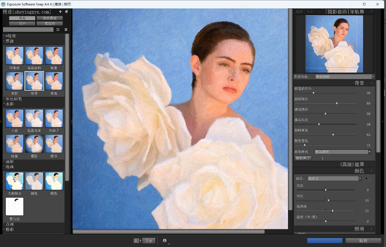 艺术绘画PS插件Exposure Software Snap Art 4.1.6 for mac汉化版
