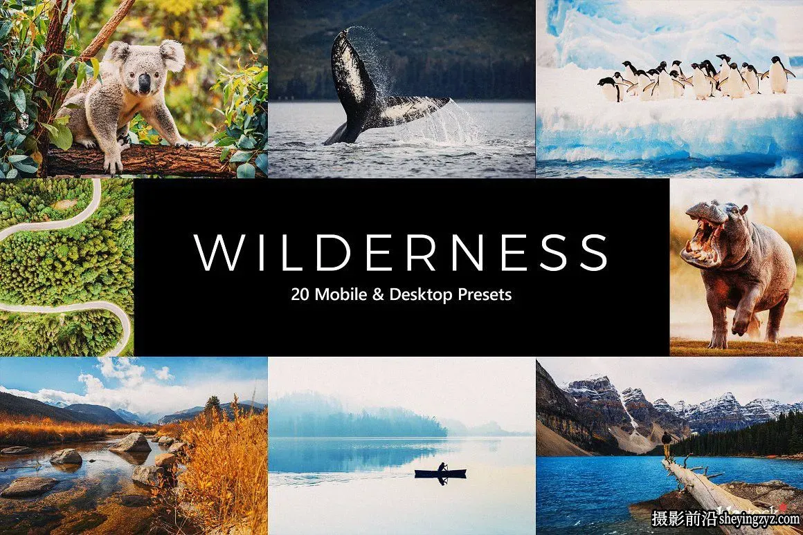 荒野旅拍风光胶片调色Lightroom预设/LUTs预设 Wilderness Presets LUTs