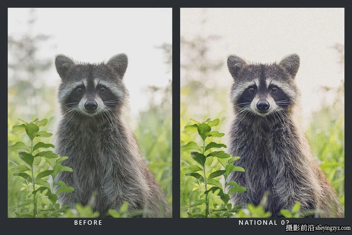 荒野旅拍风光胶片调色Lightroom预设/LUTs预设 Wilderness Presets LUTs