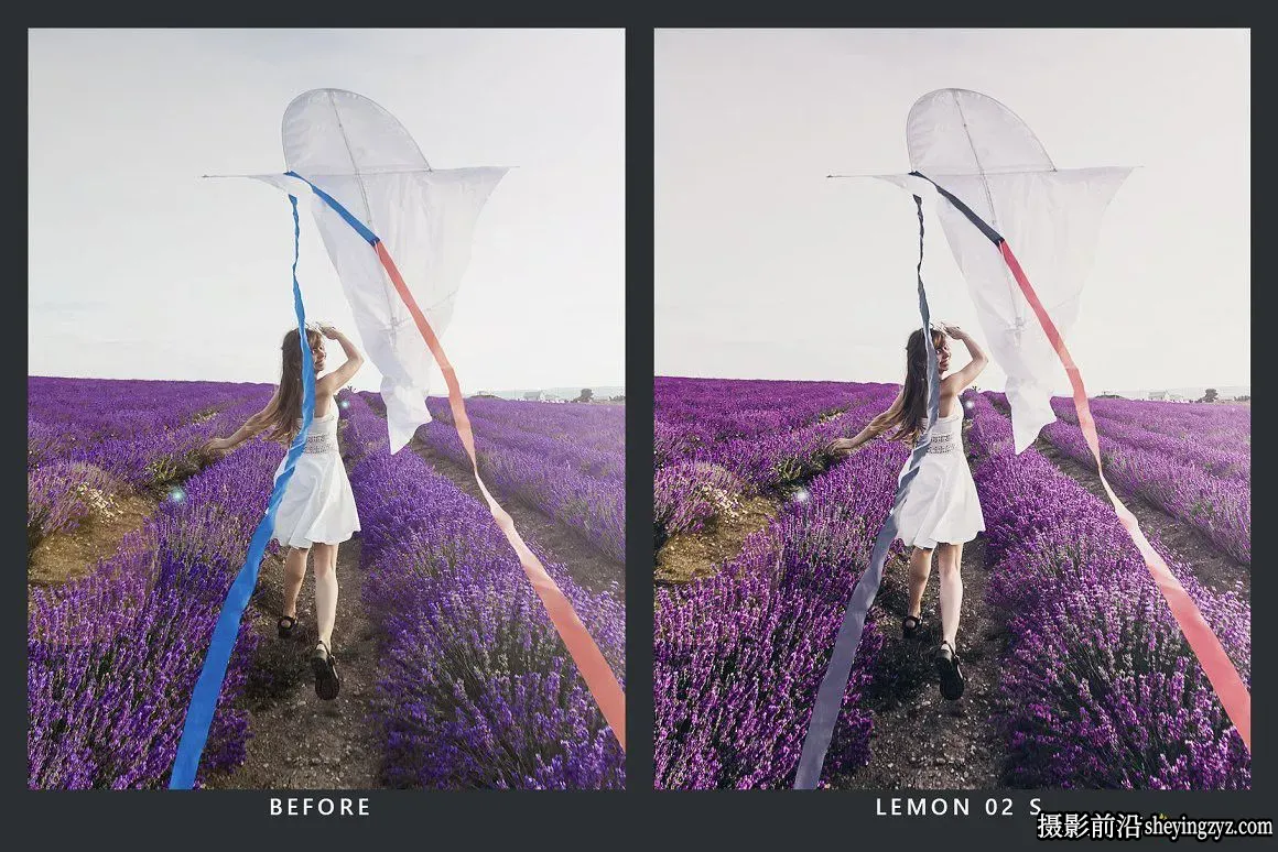 20个紫色调摄影后期调色LR预设/LUT预设 Eggplant Presets &amp; LUTs