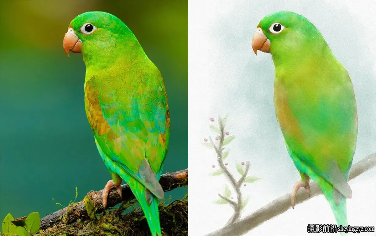 Phlearn - 如何在Photoshop中制作水彩画效果教程-独家精翻中英字幕