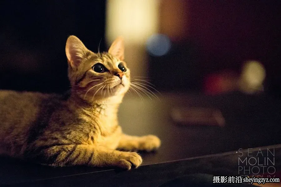 如何善用高感光度摄影的4个方法摄影技巧