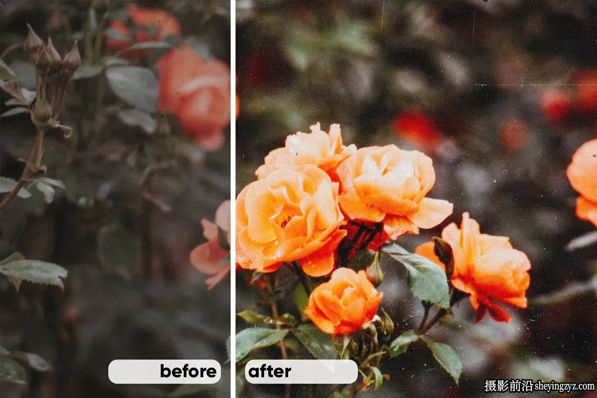 复古电影仿真胶片LR预设+胶片纹理 Vintage Film Lightroom Presets