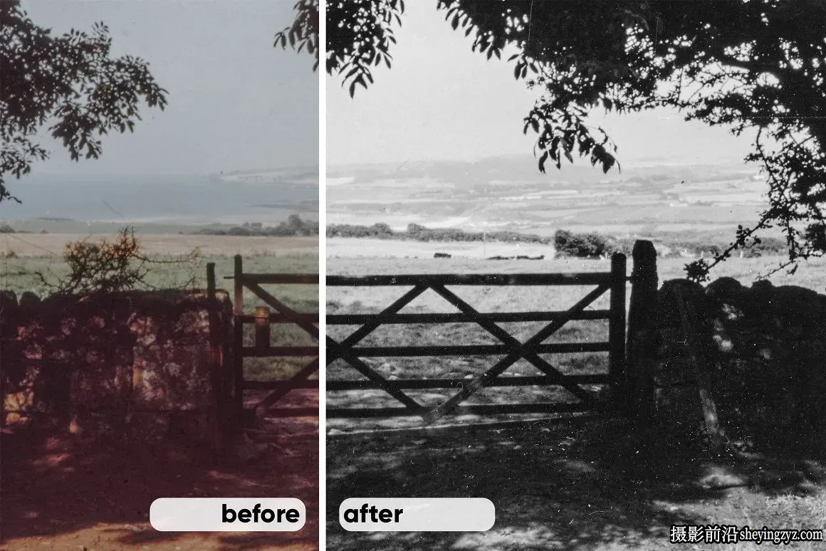 复古电影仿真胶片LR预设+胶片纹理 Vintage Film Lightroom Presets
