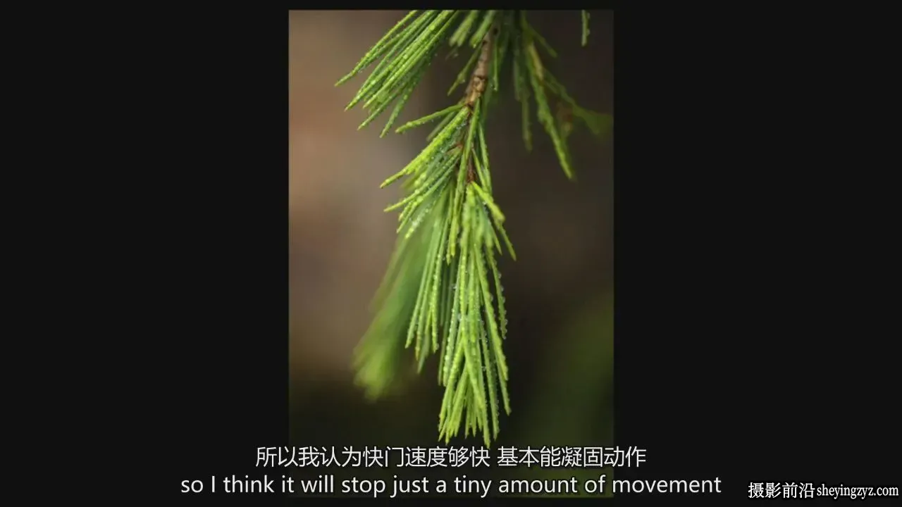 Bill Fortney - 奥林匹克公园风光摄影摄影教程-独家精翻中英字幕