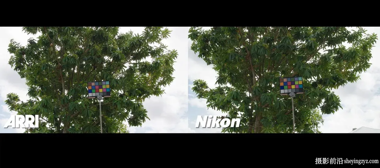 Nikon Z8 &amp; Z9 尼康 Z8 &amp; Z9 转阿莱电影机色彩风格LUT调色预设