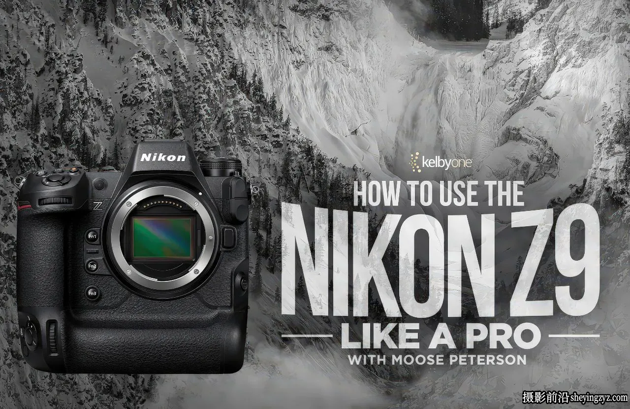 Moose Peterson 如何使用尼康NikonZ9完整指南教程-独家精翻中英字幕