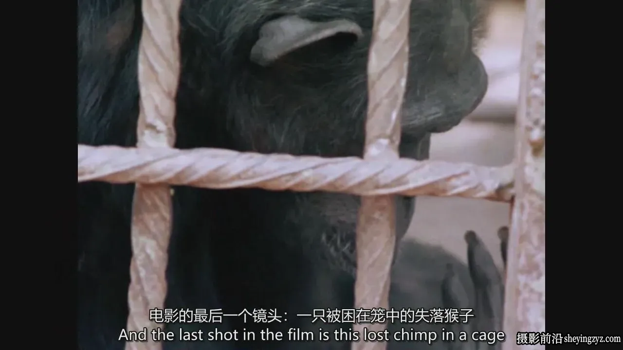 Werner Herzog -电影影视纪录片故事片制作完整版教程-独家精翻中英字幕