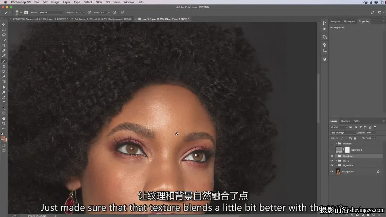 Retouching Academy-修图学院人像头发修饰完整教程-独家精翻中英字幕