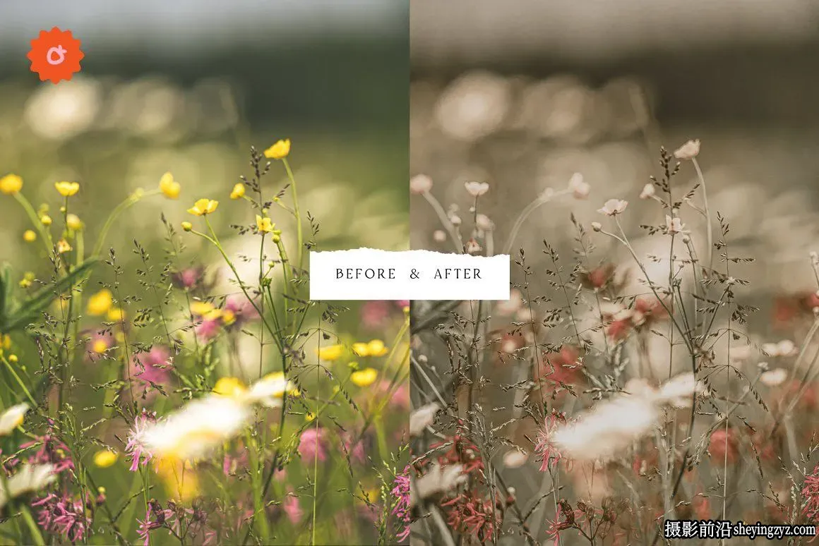 经典胶片电影美学优雅人像Lightroom预设 Ivory Lightroom Presets