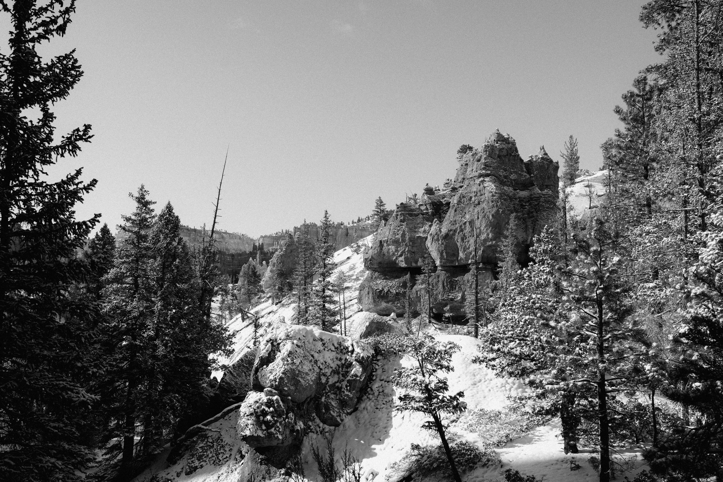 柯达传奇黑白Tri-X胶片LR预设Very Good Presets -Tri-X Discover Classic