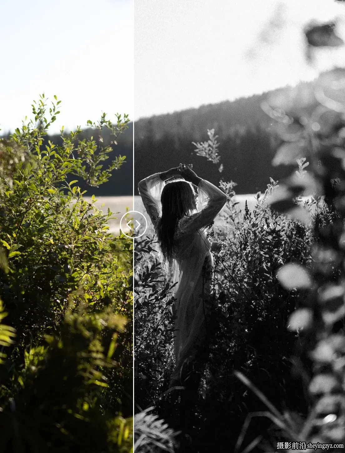 柯达传奇黑白Tri-X胶片LR预设Very Good Presets -Tri-X Discover Classic