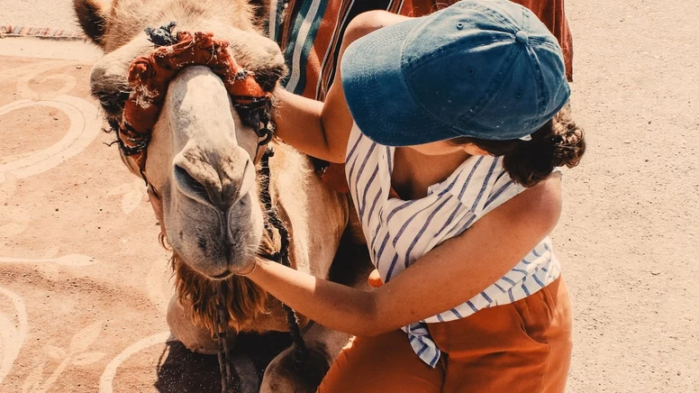 10种65毫米电影胶片模拟LUT预设 CINECOLOR - 65MM FILM Emulation Lut