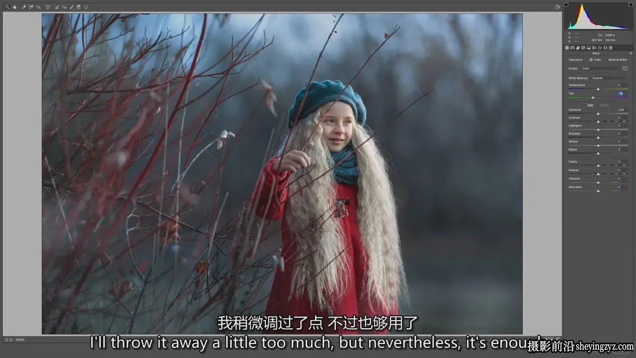 Arma Gray -《冬季奇缘》9案例唯美儿童后期调色教程-独家精翻中英字幕