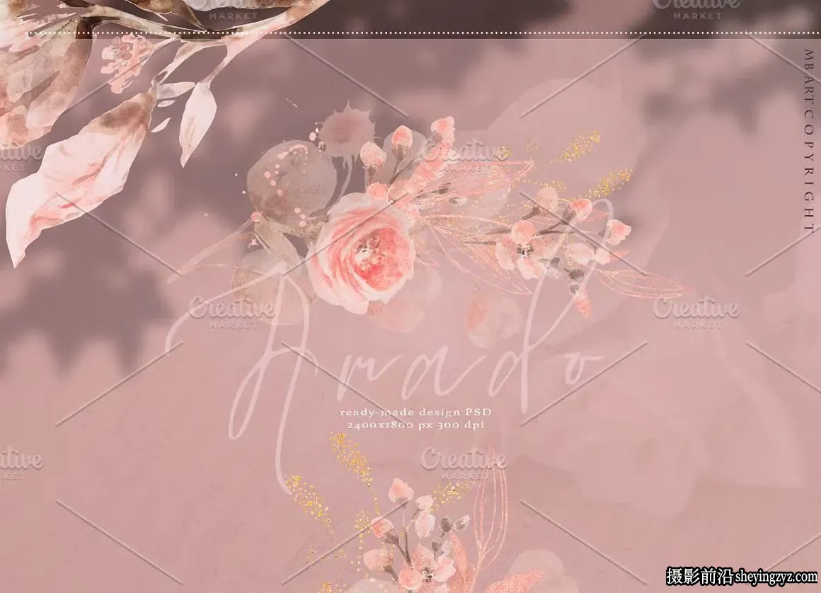 水彩和玫瑰金花瓣花朵枝条(PNG素材+PSD封面）
