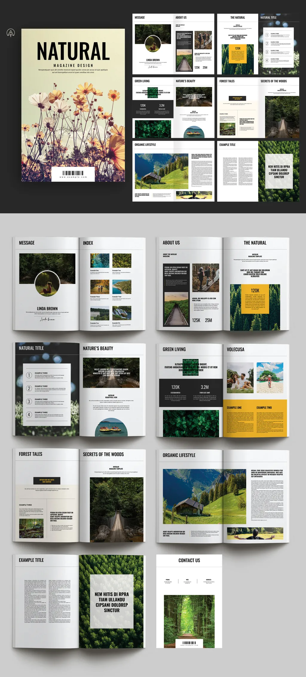 自然杂志排版设计InDesign模板 Natural Magazine Template