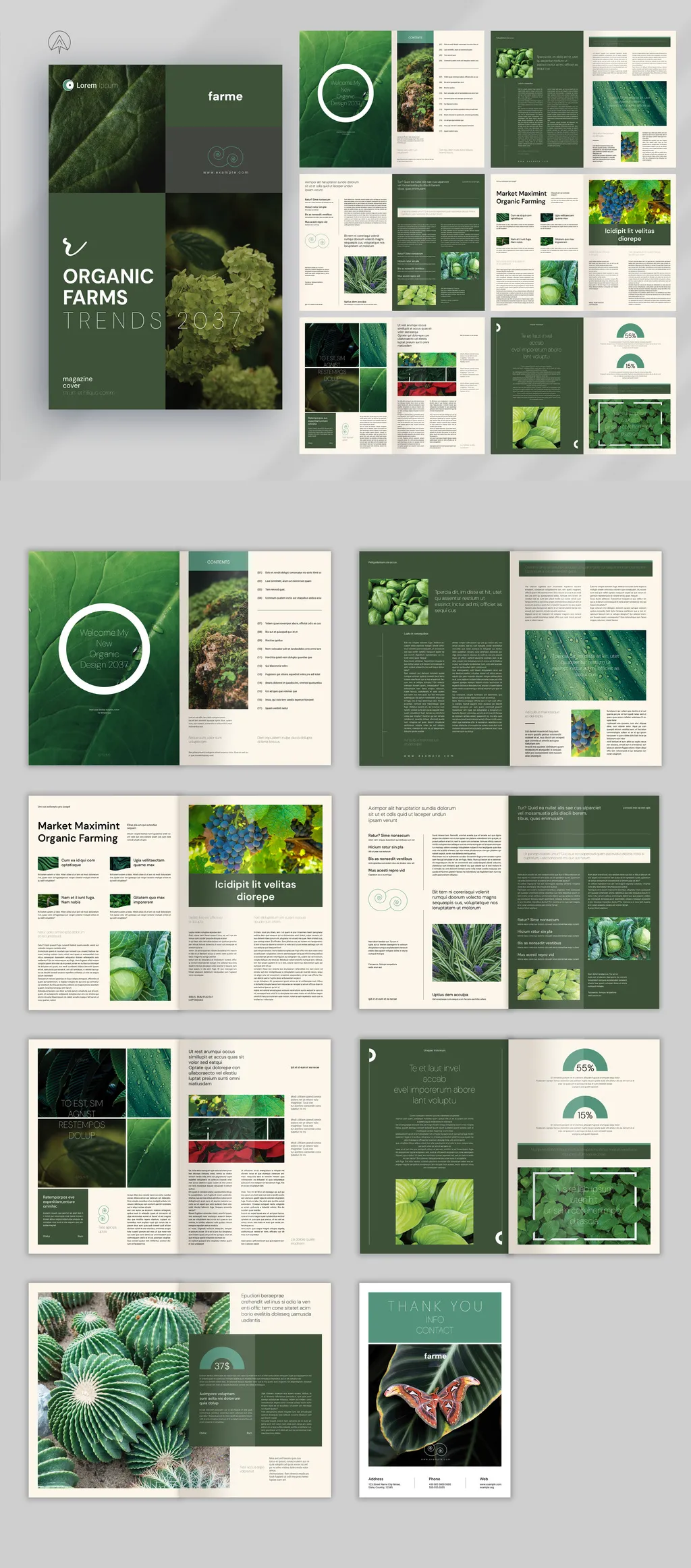 有机食品主题杂志计InDesign模板 Organic Theme Magazine Template