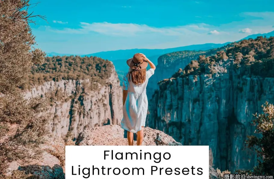 10种旅拍电影风光人像后期调色Lightroom预设/PS预设