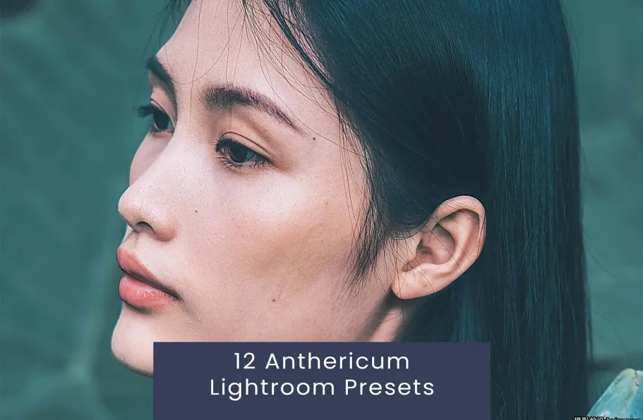 12种时尚胶片人像后期调色LR预设 Anthericum Lightroom Presets