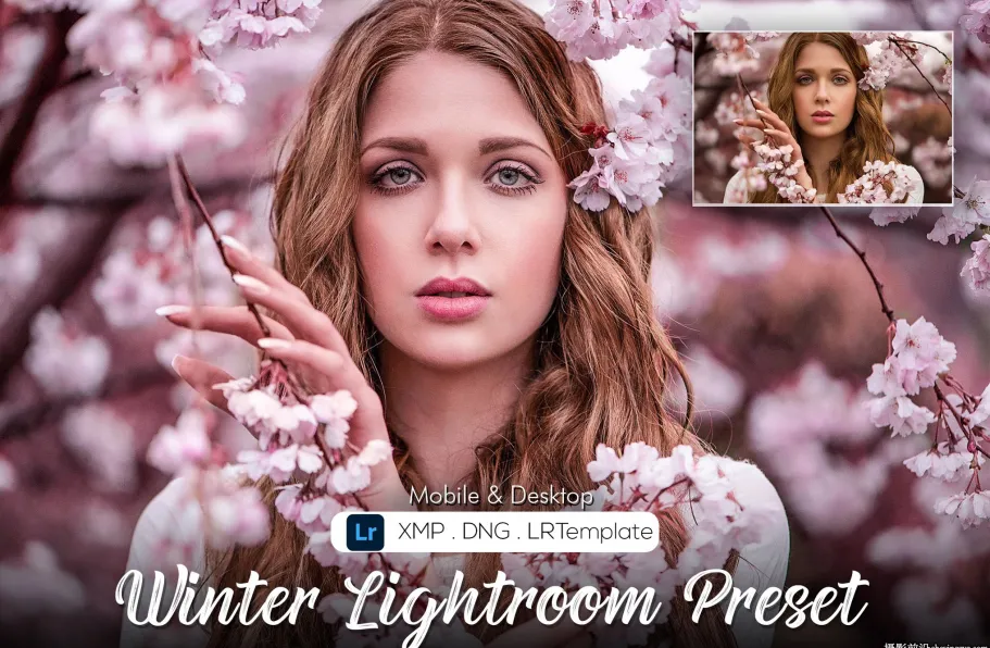 冬季电影胶片人像免费Lr预设手机lr预设 Winter Lightroom Preset