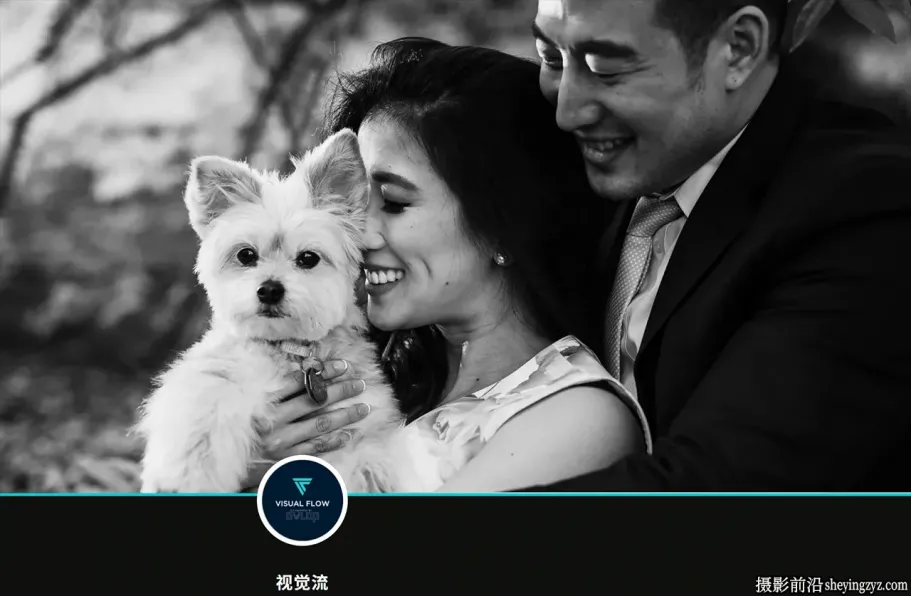永恒经典黑白胶片LR预设DVLOP -Visual Flow -Black and White Mixer