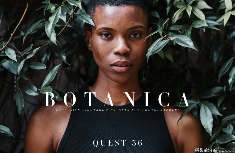 Archipelago Quest系列36充满活力的胶片预设-QUEST 36 - BOTANICA