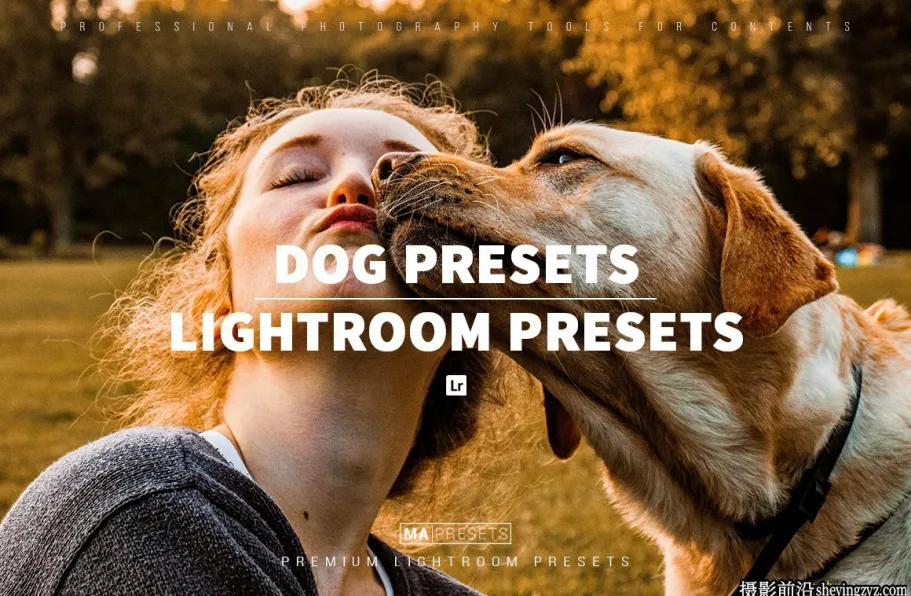 宠物狗狗摄影调色LR预设及手机版lr预设DOG – Lightroom Presets