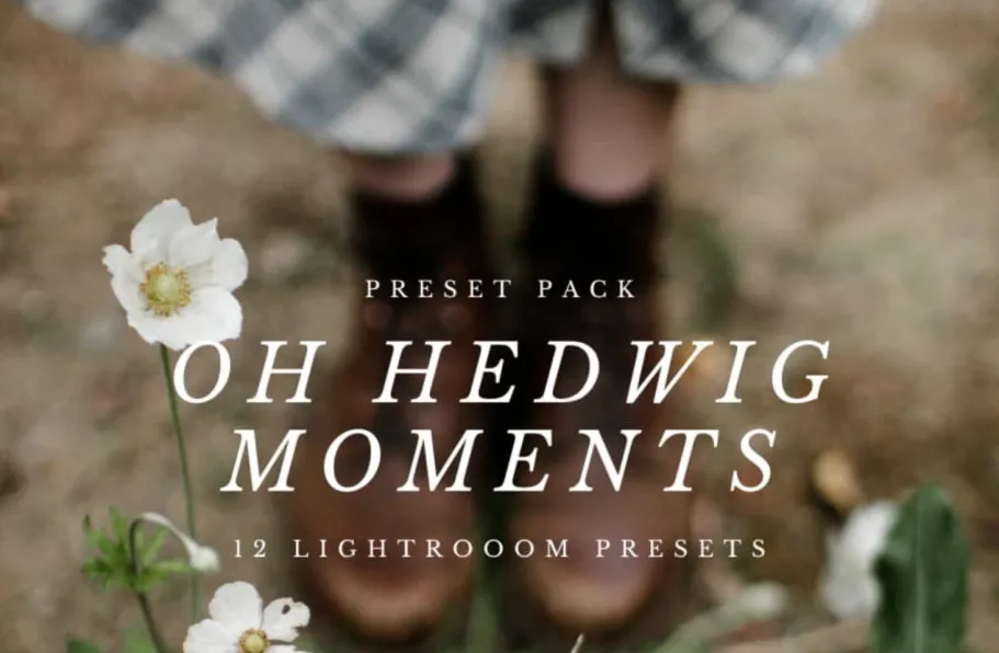 复古清新自然环境人像胶片LR预设 Oh Hedwig Moments – Presets