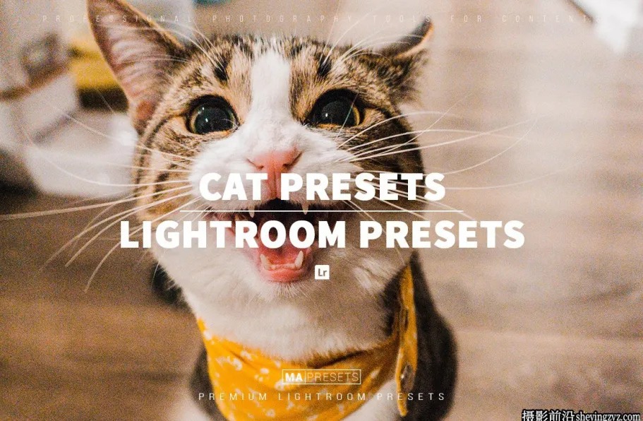 宠物猫咪摄影调色LR预设手机版lr预设 CAT – Lightroom Presets