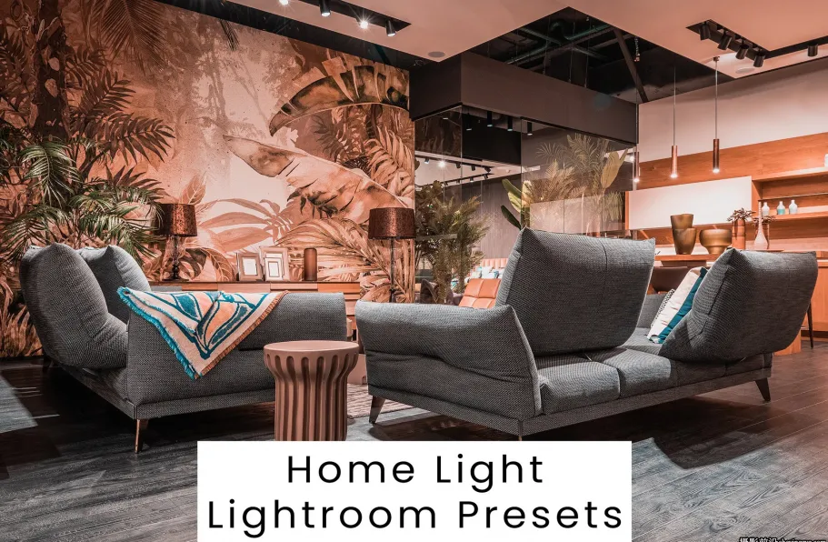 家庭室内摄影电影色彩LR预设ACR预设 Home Light Lightroom Presets