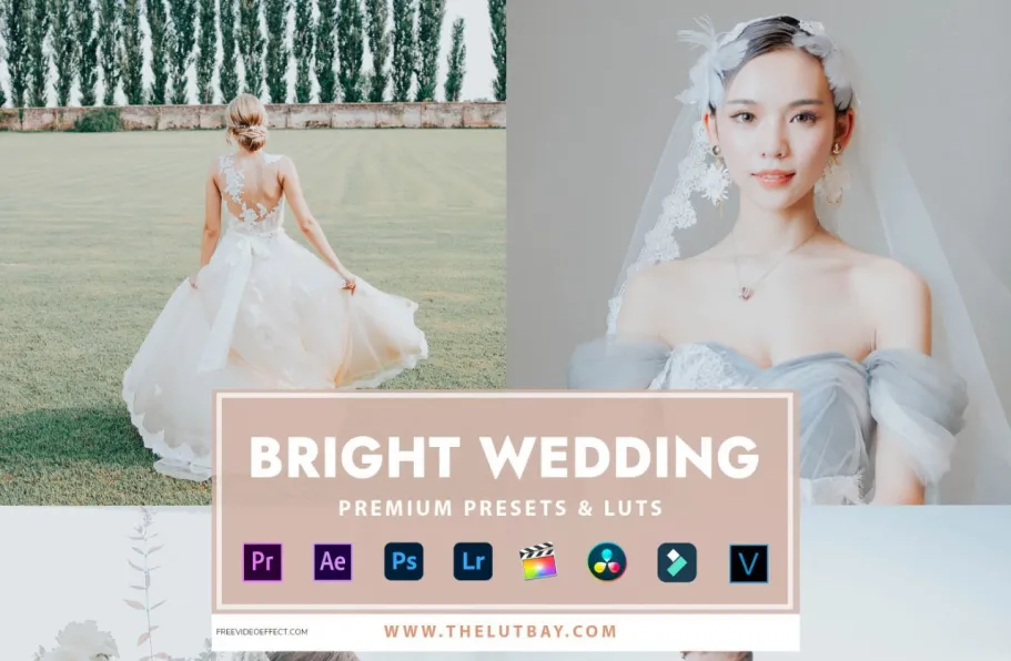 明亮通透婚礼人像调色LR/LUT预设TheLutbay-BRIGHT WEDDING PRESETS