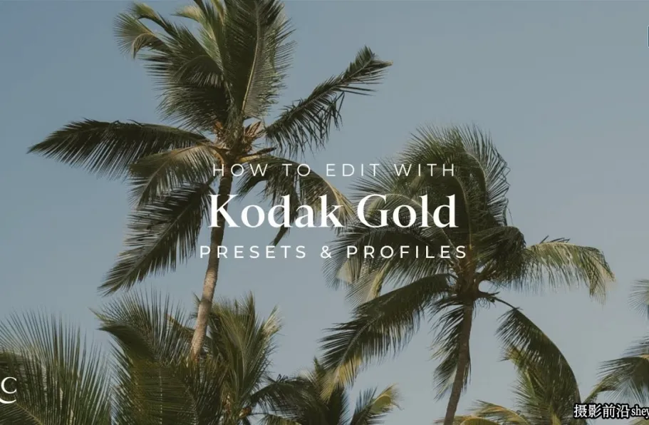 金色柯达经典胶片LR预设 REFINED - Kodak Gold Lightroom Presets