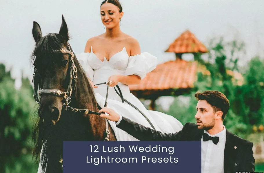 12种清新胶片婚礼人像Lightroom预设 Lush Wedding Lightroom Presets