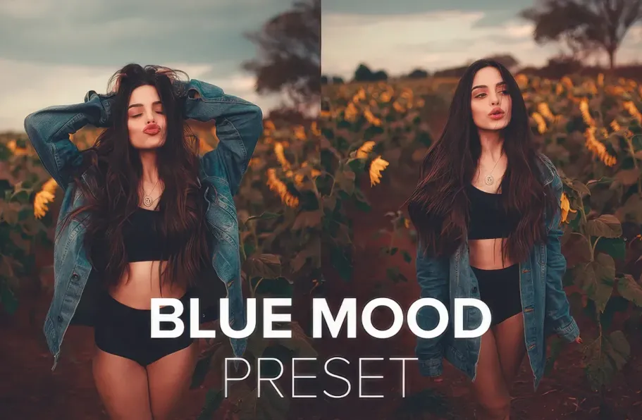 LUIZCLAS 蓝调情绪电影人像LR预设/RAW/教程 Blue Mood Presets