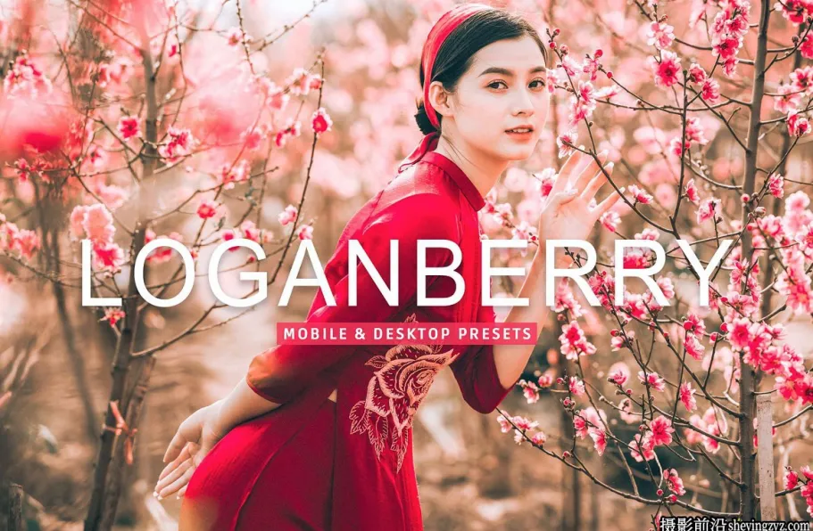 免费LR预设-电影胶片LR预设手机预设 Loganberry Lightroom Presets