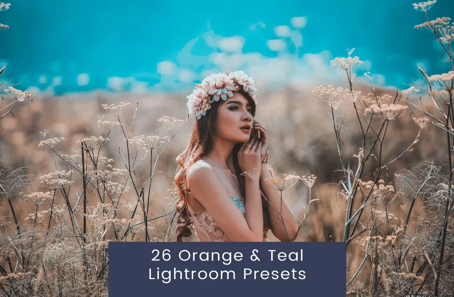 橙青色电影LR预设ACR预设 Orange & Teal Look Lightroom Presets