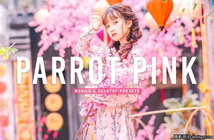 粉彩古装人像调色LR预设手机预设Parrot Pink Pro Lightroom Presets