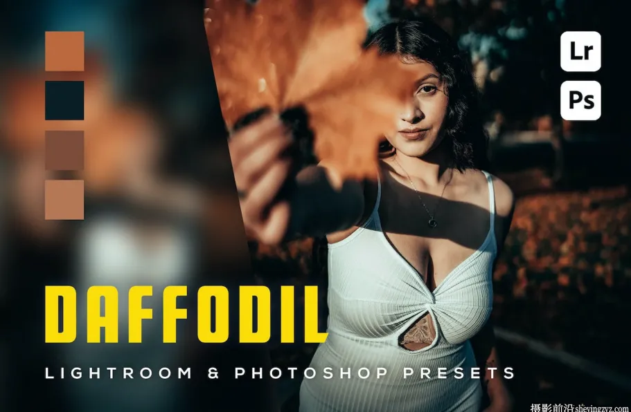 INS网红电影人像Lr预设及手机版lr预设 Daffodil Lightroom Presets
