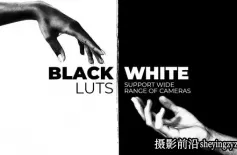 20种经典复古黑白电影胶片LUT调色预设Black and White L...