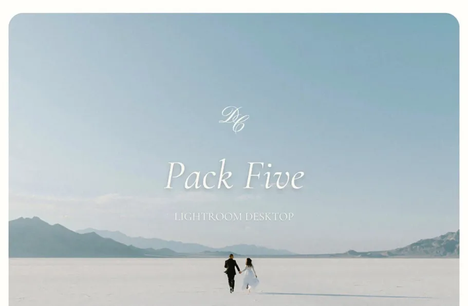 婚礼LR预设2025第五季 Dawn Charles  DC Presets: Pack Five 2025
