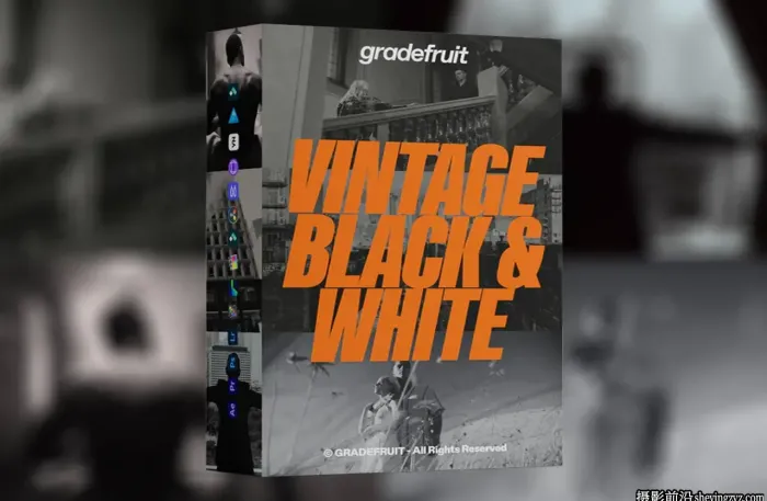 复古黑白电影胶片LUT预设GradeFruit-Vintage Black and ...