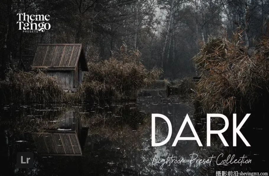戏剧性黑暗情绪氛围LR预设 Dark and Moody Lightroom Presets