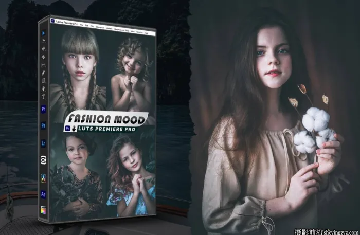 时尚电影人像后期调色LUT预设及lr预设 Fashion Mood Presets - luts